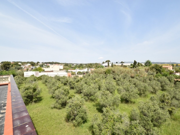 Ref. 03-11654/1098 - Finca d'oliveres amb casa en venda, al costat del nucli urbà