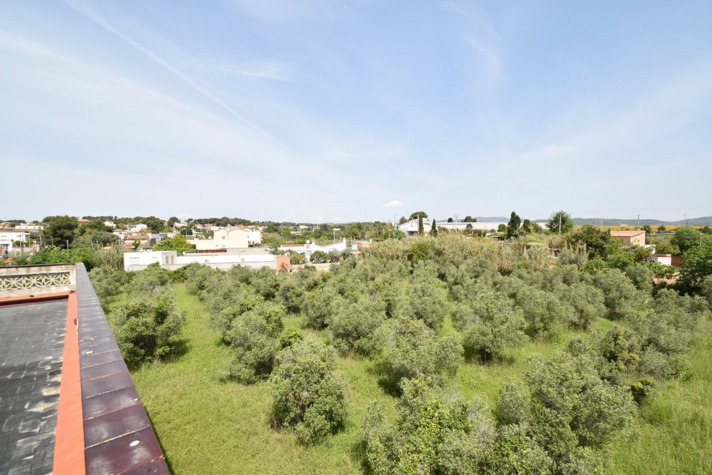 Ref. 03-11654/1098 - Finca d'oliveres amb casa en venda, al costat del nucli urbà