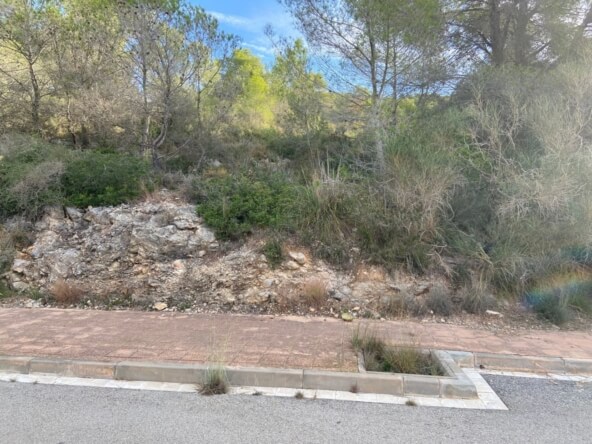 Ref. 56-V00108-SGRG1/5106 - Plot facing southwest in Mas Alba.