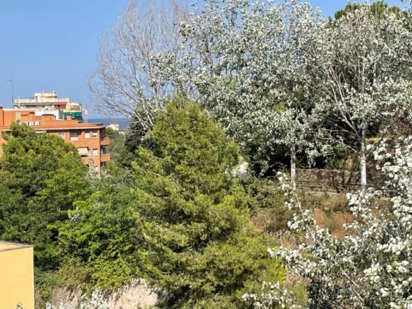 Ref. 5672-16711/5672 - Encantador Piso en Venta en Nou de la Rambla, Barcelona: Balcón con Vistas a la Montaña