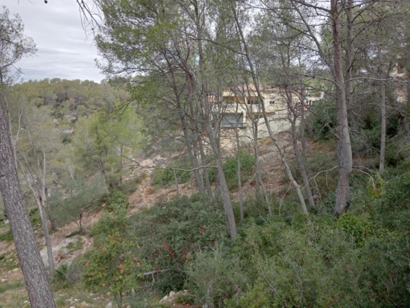 Ref. 10939/1045 - Plot 850 m2 in Olivella