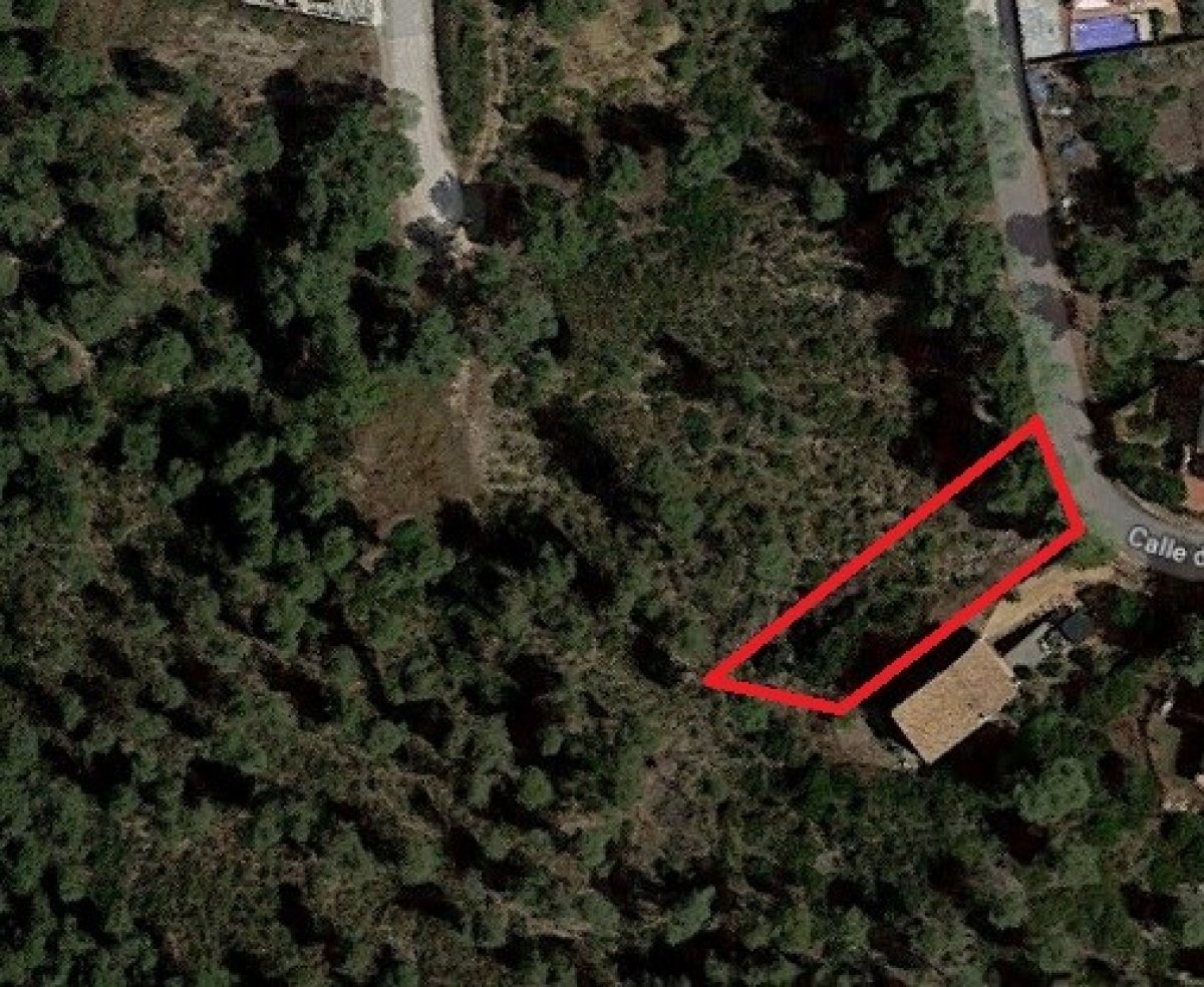 Ref. 7-ALSV0044/1088 - Parcela en Canyelles (Les Palmeres)