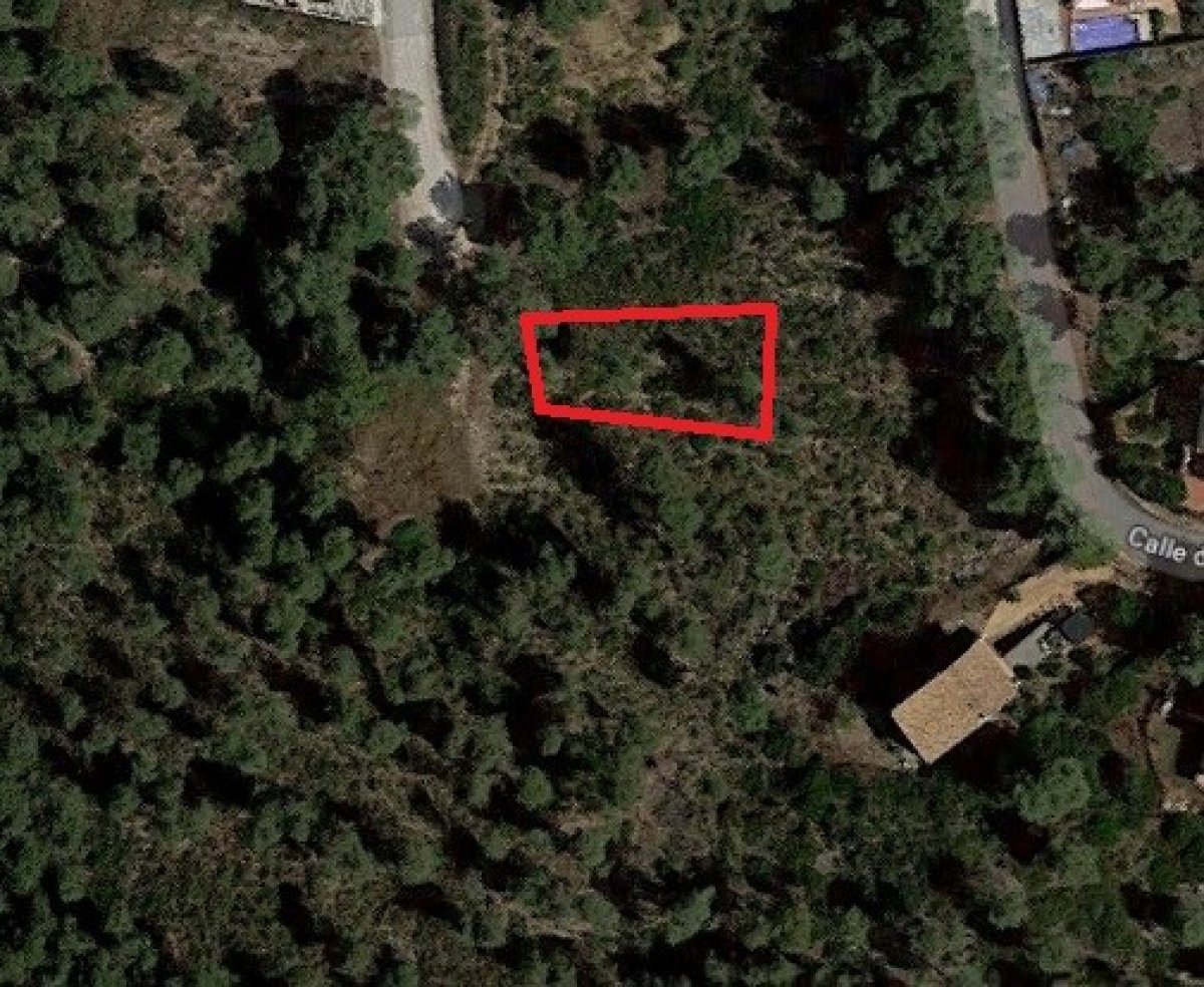 Ref. 7-ALSV0040/1088 - Parcela en Canyelles (Les Palmeres)