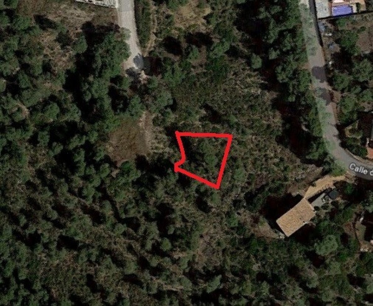 Ref. 7-ALSV0041/1088 - Parcela en Canyelles (Les Palmeres)