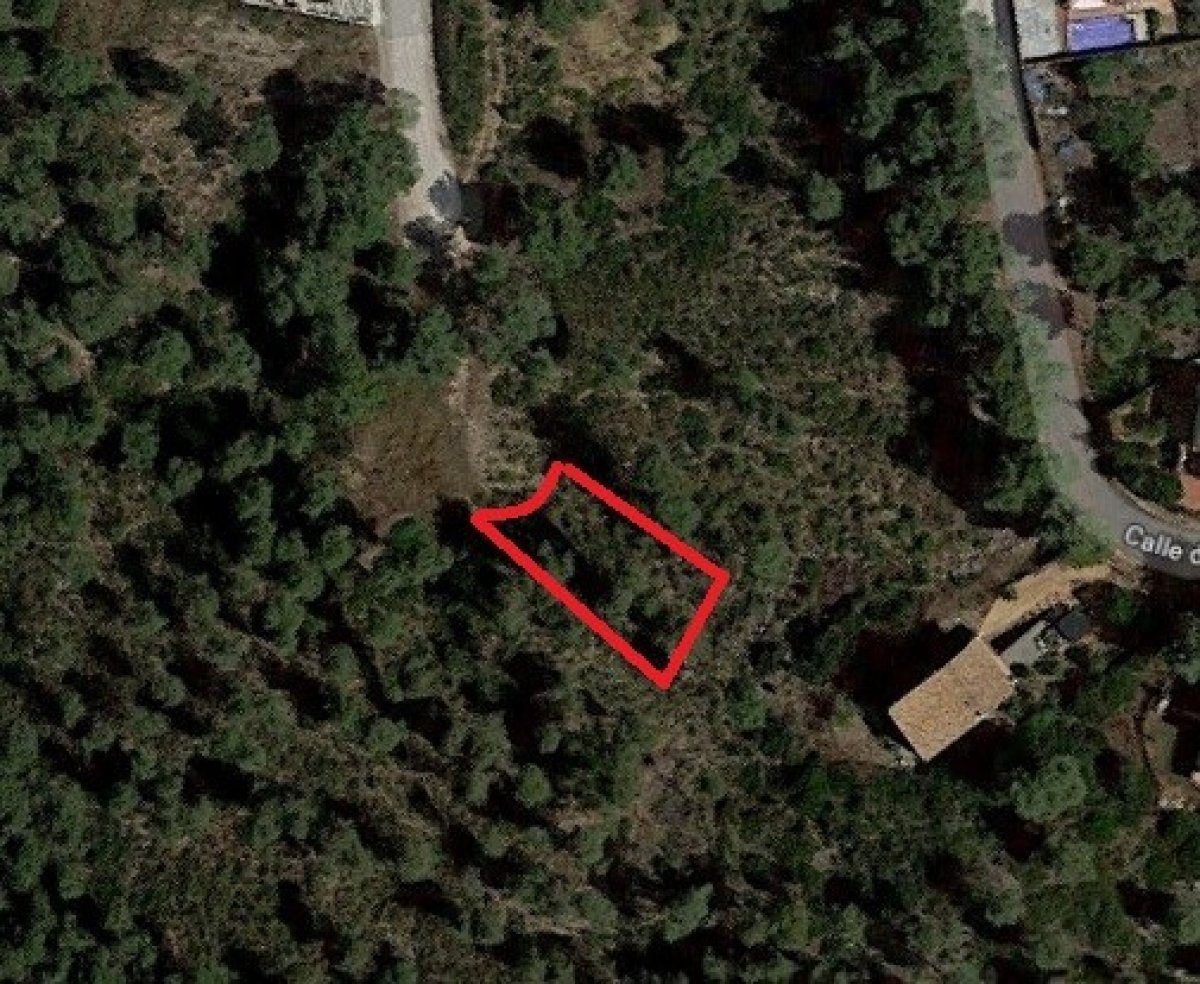 Ref. 7-ALSV0042/1088 - Parcel·la a Canyelles (Les Palmeres)