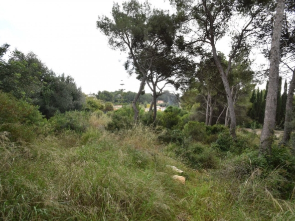 Ref. 03-40375/1098 - Parcel·les en venda